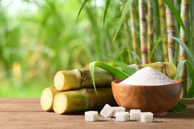  REFINED WHITE CANE SUGAR ICUMSA 45